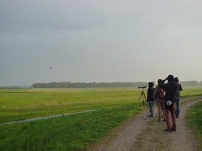Guelpe2010.JPG