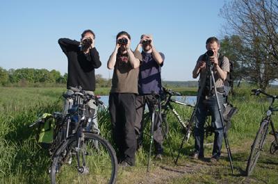 birdrace_BB_Oderhuehnchen.jpg