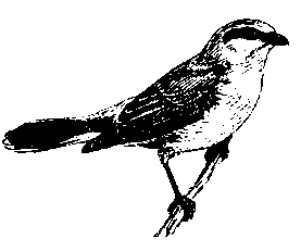 logo_Maerkische_Schweiz.jpg